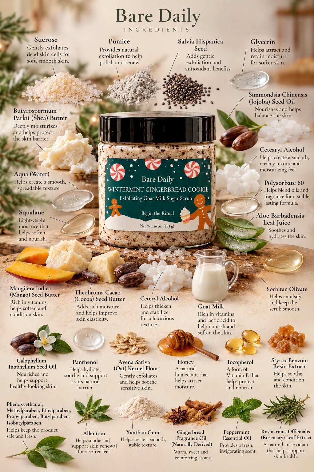 Bare Daily Wintermint Gingerbread Cookie Goat Milk Sugar Scrub in a jar surrounded by natural ingredients chart layout including shea butter, sucrose, and goat milk.