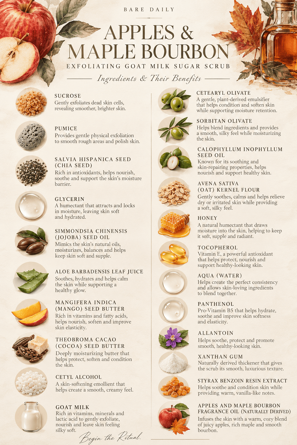Bare Daily Apples and Maple Bourbon Exfoliating Goat Milk Sugar Scrub ingredient infographic listing benefits of key natural ingredients including sucrose, goat milk, shea butter, and oat kernel flour.