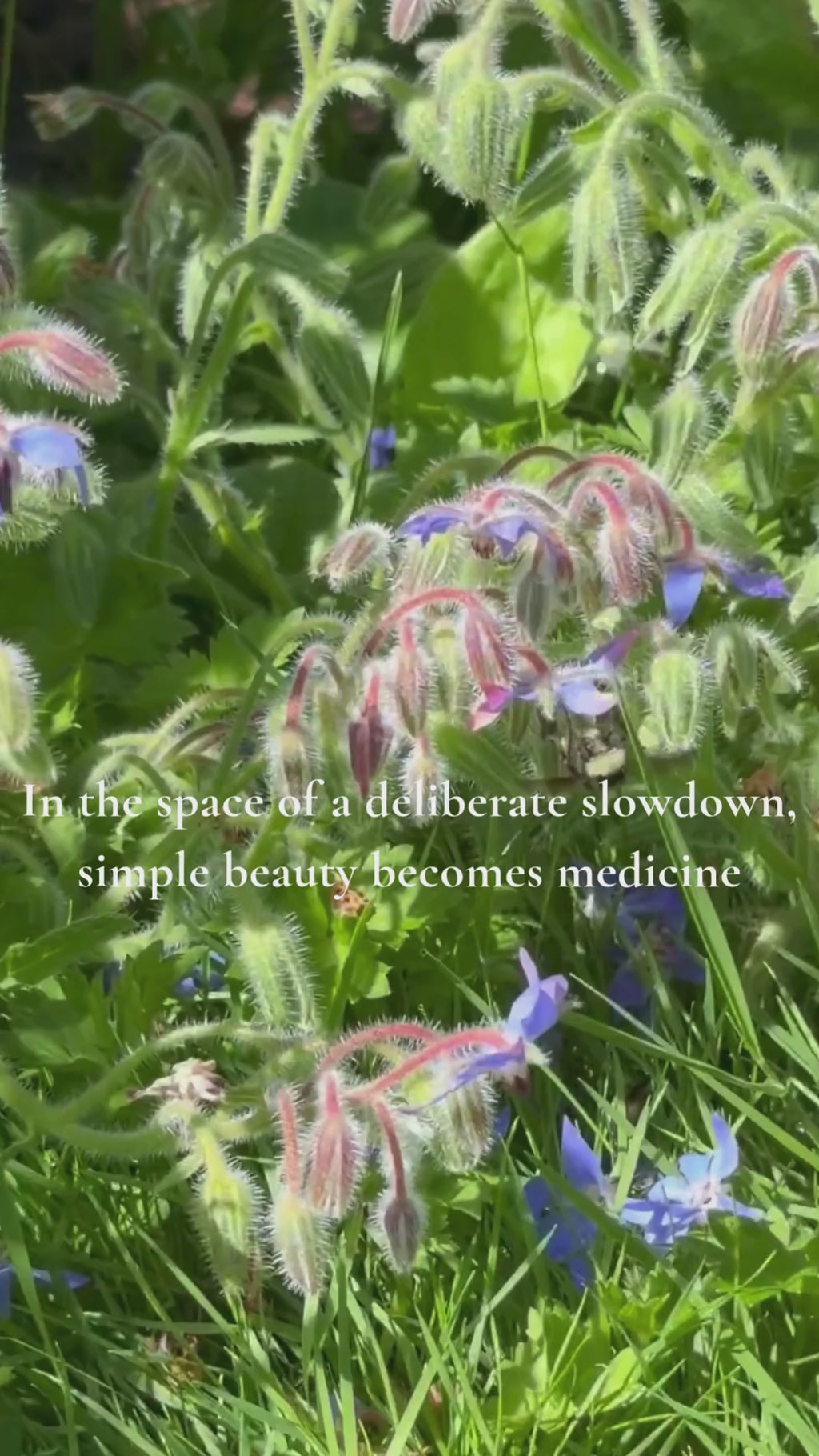 The Jasmine Petals Resurfacing Treatment